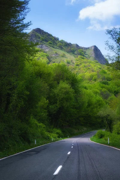 Straße Der Natur Frühling — Stockfoto