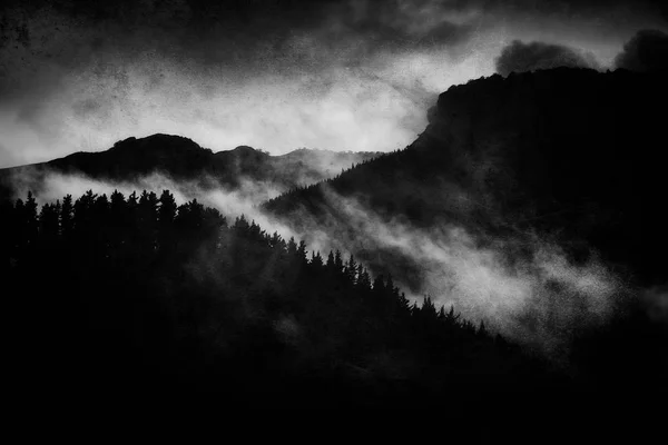 Paesaggio Scuro Con Foresta Nebbiosa Notte Grungy Texture Bianco Nero — Foto Stock