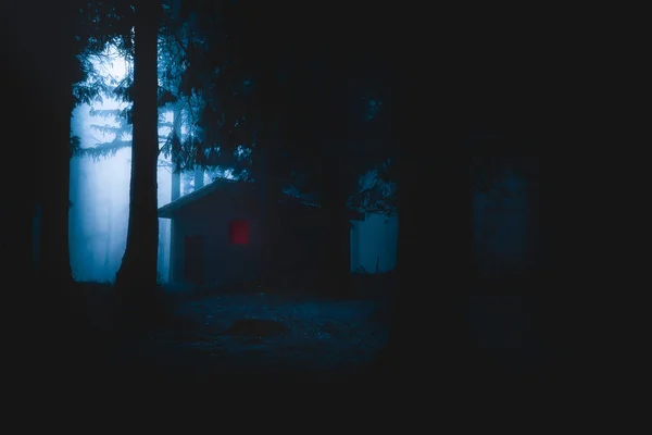可怕的房子照亮了神秘的恐怖森林在夜间 — 图库照片