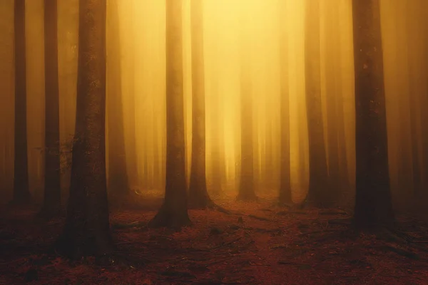 Ονειρική Ομιχλώδες Δάσος Ηλιοφάνεια Στο Πρωί Φθινόπωρο — Φωτογραφία Αρχείου