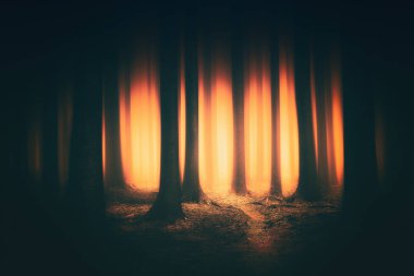 fantasy dark forest with sunlight clipart