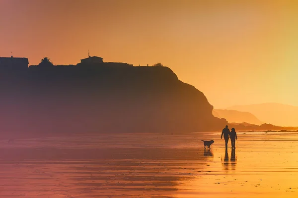 Couple Walking Dog Beach Sunset — Stock Photo, Image