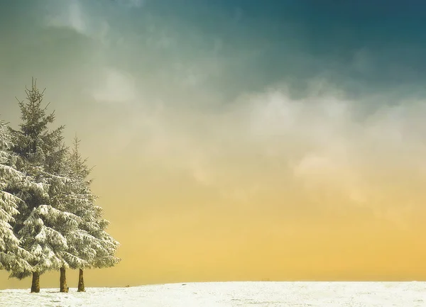 Sfondo Invernale Con Alberi Neve Effetto Filtro Vintage — Foto Stock