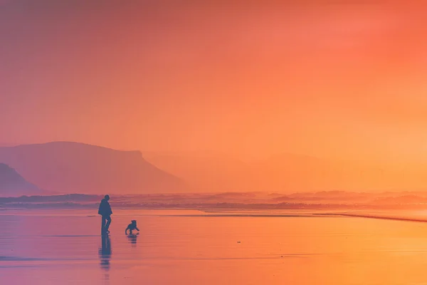 人漫步在海滩上的狗与美丽的日落颜色 — 图库照片