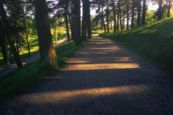 Chemin Avec Belle Lumière Soleil Dans Montagne Pagasarri — Photo