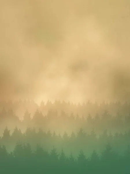 Background Trees Silhouettes — Stock Photo, Image