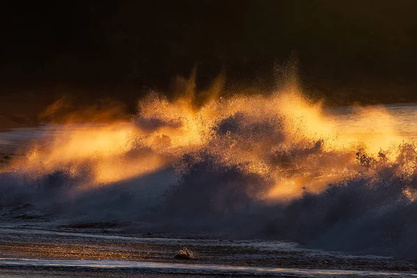 Welle Bricht Bei Sonnenuntergang Ufer — Stockfoto