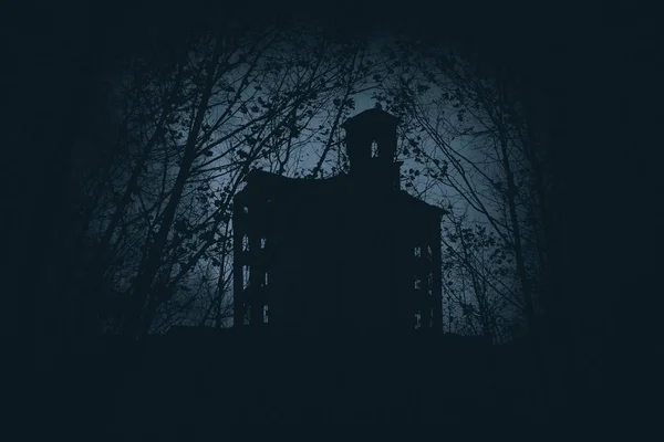 森の中の怖いの古く 断念された家 — ストック写真