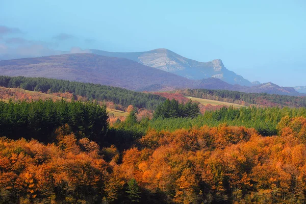 Herfst Kleuren Gorbea — Stockfoto