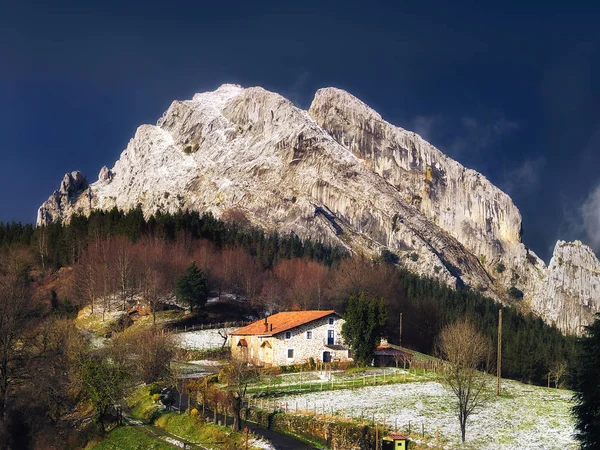 Landschaft Des Waldes Mit Nebel — Stockfoto