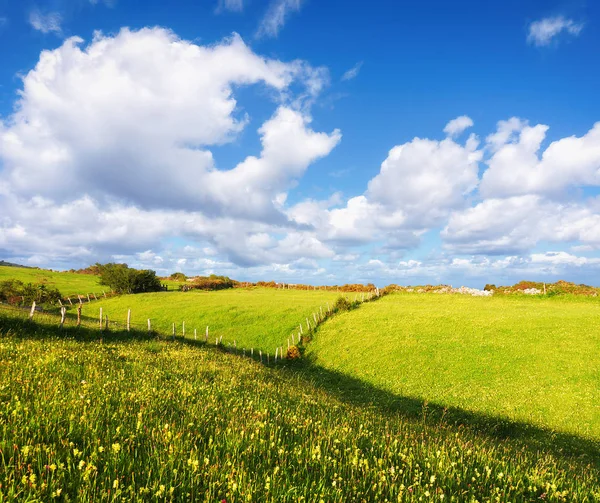 Hintergrund der Landschaft mit Hügeln und Wiesen — Stockfoto