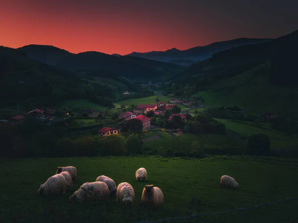 Vesnice Arrazola s ovcemi v Atxondo večer — Stock fotografie