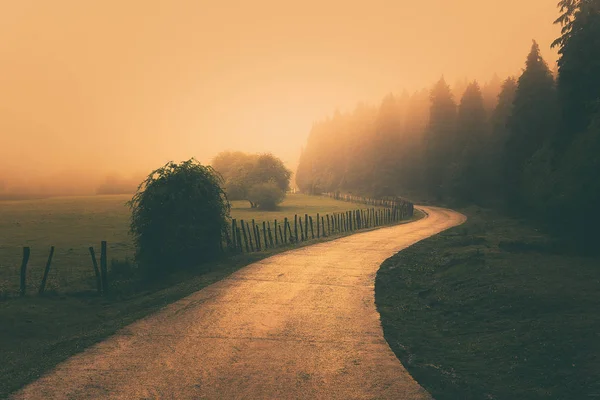 Paisaje de la naturaleza vintage con un camino de niebla — Foto de Stock