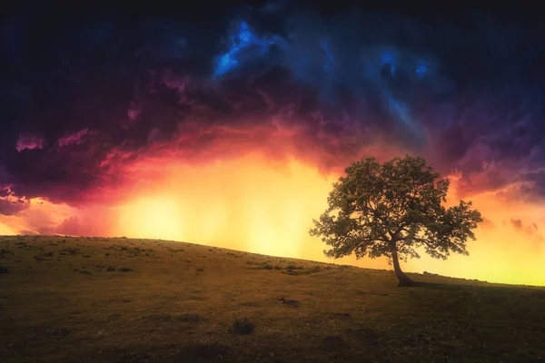Paesaggio sfondo di albero solitario sulla collina con cielo drammatico — Foto Stock