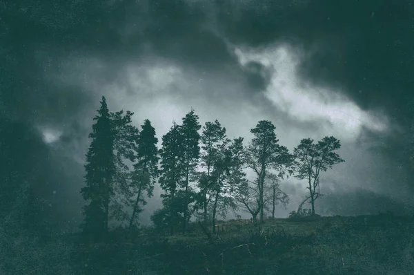Paesaggio scuro lunatico di alberi con texture grungy — Foto Stock