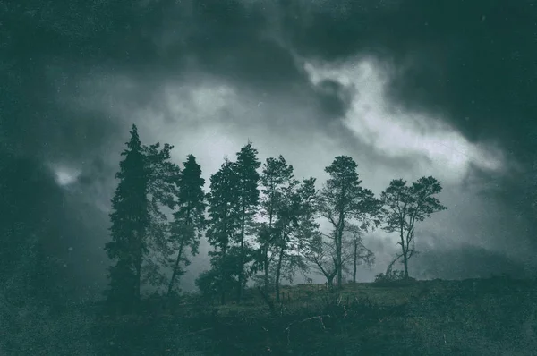 Paisaje oscuro malhumorado de árboles con texturas gruesas —  Fotos de Stock