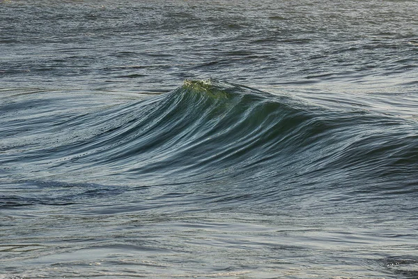 Okyanusta yalnız dalga kırma — Stok fotoğraf