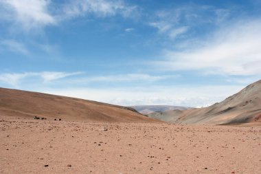Moğolistan Tolbo göl alanı