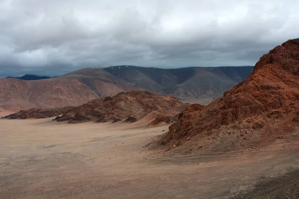 Zona Del Lago Tolbo Mongolia — Foto de Stock