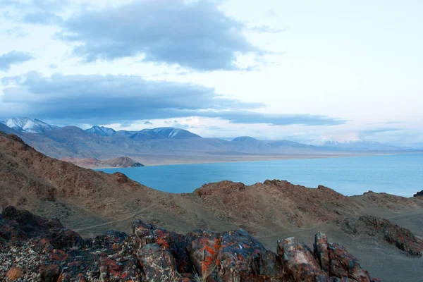 モンゴルの Tolbo 湖エリア — ストック写真