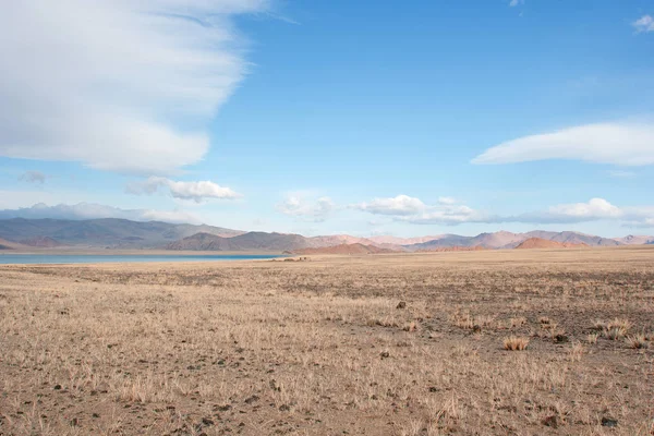 Tolbo Озеро Площею Монголії — стокове фото