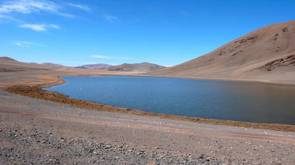 Tolbo Lake Area Mongolia — Stock Photo, Image