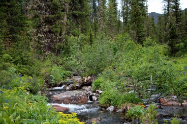 Milli Parkı Sibirya'da Ergaki görünümünü