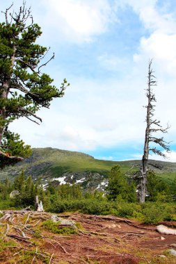 Milli Parkı Sibirya'da Ergaki görünümünü