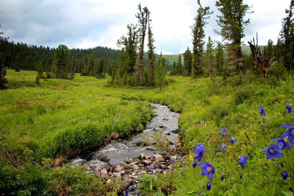 View National Park Ergaki Siberia — Stock Photo, Image