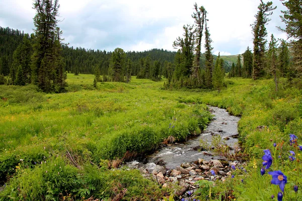 View National Park Ergaki Siberia — Stock Photo, Image