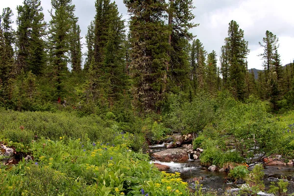 View National Park Ergaki Siberia — Stock Photo, Image