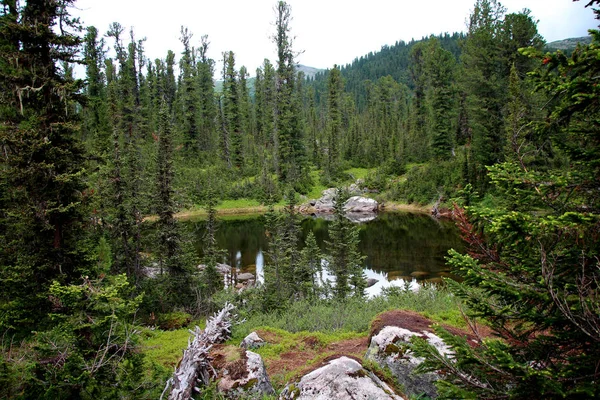 Vista Parque Nacional Ergaki Sibéria — Fotografia de Stock