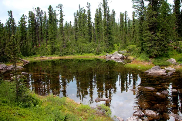 Vista Parque Nacional Ergaki Sibéria — Fotografia de Stock