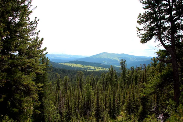 Vista Del Parque Nacional Ergaki Siberia —  Fotos de Stock