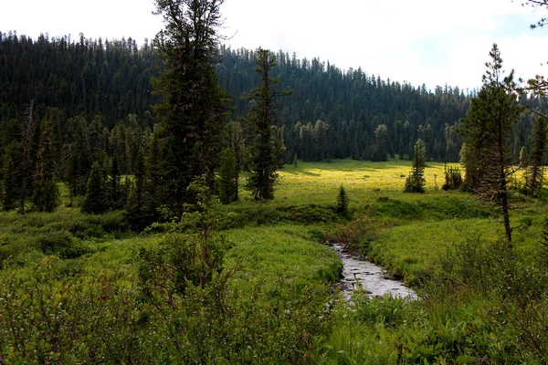 View National Park Ergaki Siberia — Stock Photo, Image