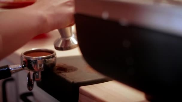 Barista Stampande Färsk Malet Kaffe — Stockvideo
