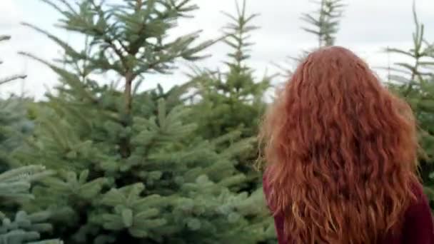 红色头发的妇女在森林里 — 图库视频影像