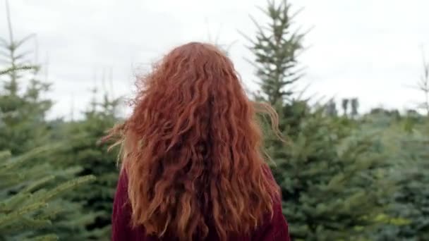 Red Haired Woman Walking Autumn Woods — Stock Video