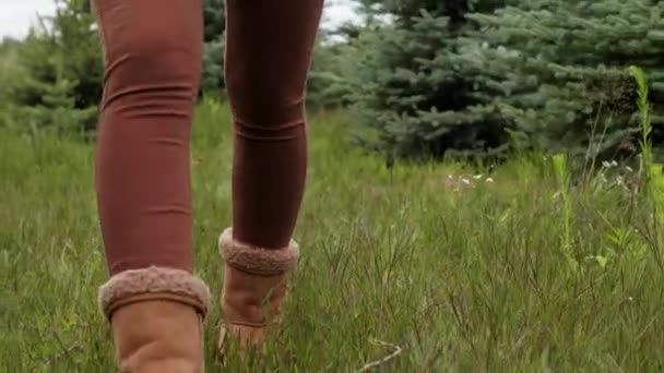 Жінка Вибирає Ялинку Лісі — стокове відео