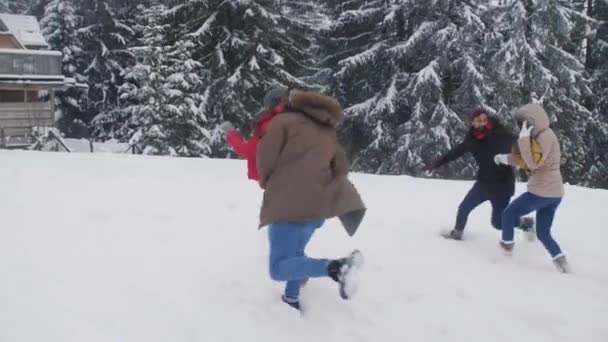 Pareja Joven Durante Pelea Bolas Nieve — Vídeos de Stock