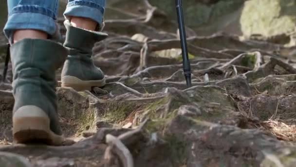 Dağlarda Hiking Çiftin Düşük Bölümü — Stok video
