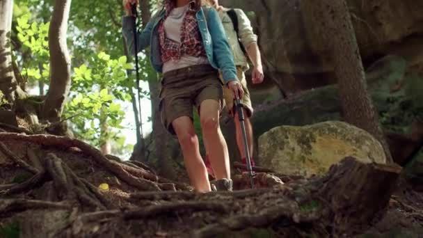 低部カップルのハイキング — ストック動画