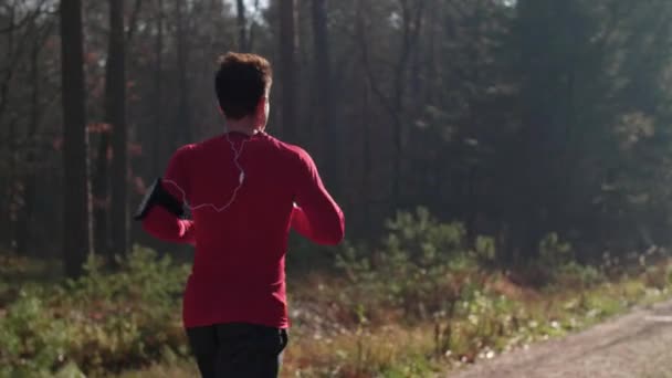 Vista Posteriore Dell Uomo Che Corre Nella Foresta — Video Stock