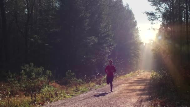 Fugir Caminho Sua Vida — Vídeo de Stock