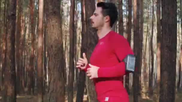 Vue latérale de l'homme courant entre les arbres 