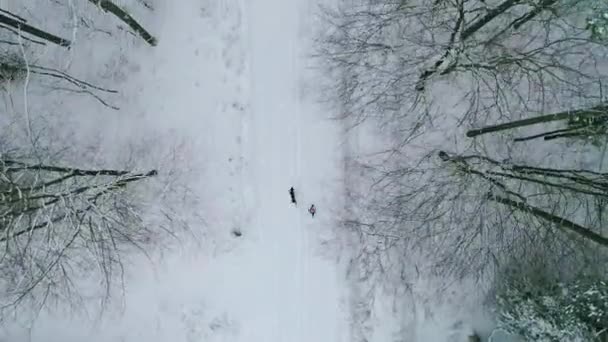 Mulher Cão Correndo Floresta Inverno — Vídeo de Stock