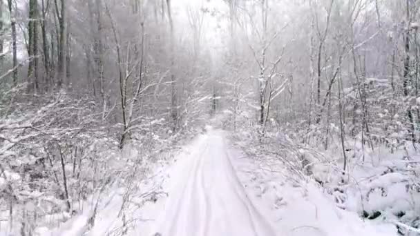 有一条人行道的冬季景观 — 图库视频影像