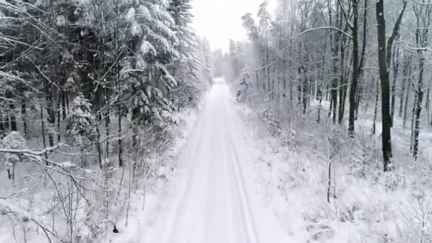 有人行道的冬季森林的无人机景观 — 图库视频影像