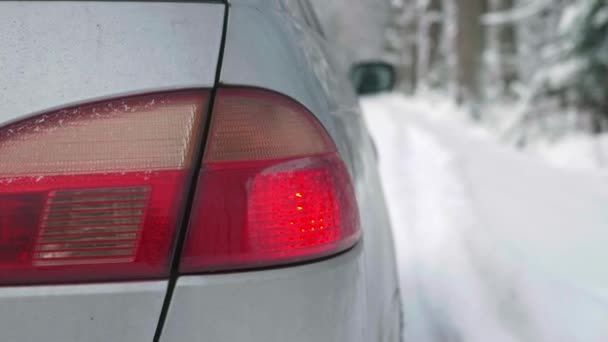 Vista Trasera Del Coche Roto Carretera Bosque Invierno — Vídeo de stock