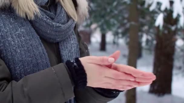 妇女揉她的手在冬天 — 图库视频影像